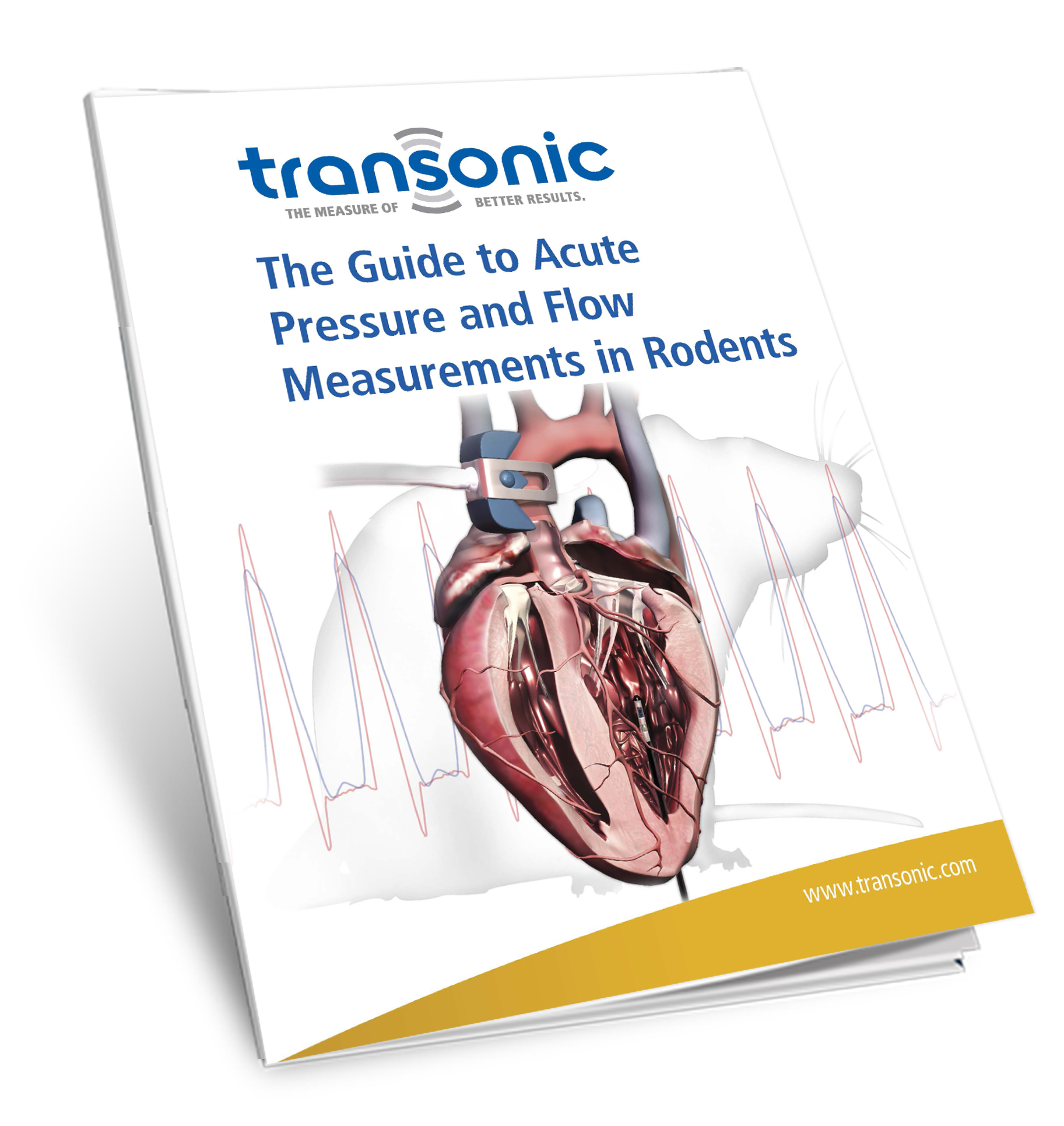 Cover from Pressure & Flow Workbook SP-1-wb-1