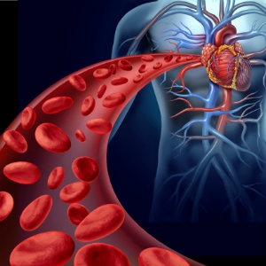 Blood Flow from the heart